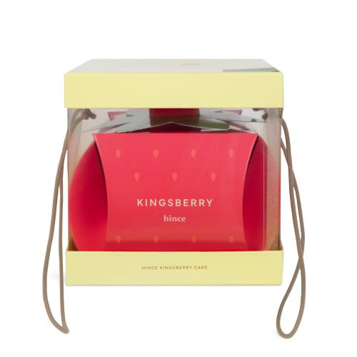 KINGSBERRY PR KIT